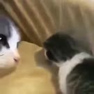 360x360