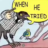360x360