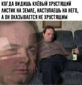 519x539