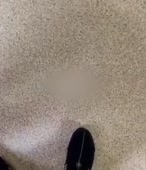310x360