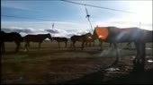 400x224