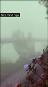 640x1136