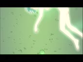 1440x1080