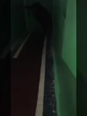 270x360