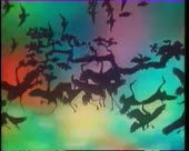 450x360