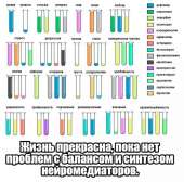 800x791