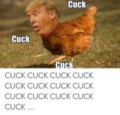 500x482