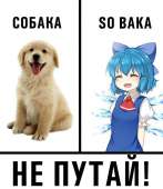 939x1080