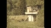 480x270