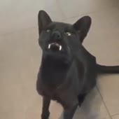 360x360