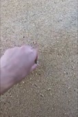338x500