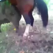 360x360