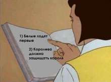 452x336