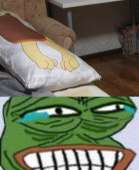 600x730