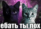500x356