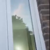 360x360