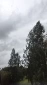 540x960