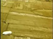 480x360