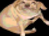 480x360