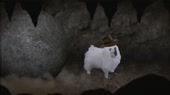 640x360
