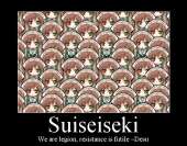 562x441