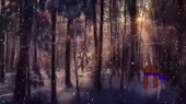 500x280