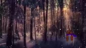500x280