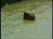 480x360