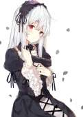 1541x2160
