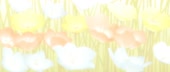 1920x816