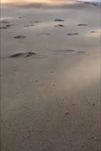 338x500
