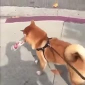 360x360