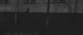 640x272