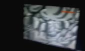 600x360