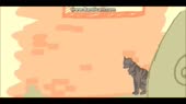 640x360