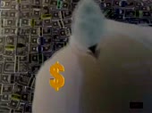 480x360