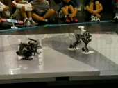 480x360