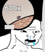 645x729
