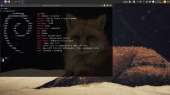 1366x768