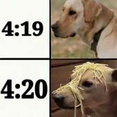 540x540