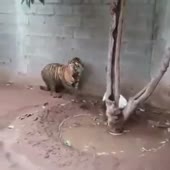 360x360