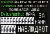352x240