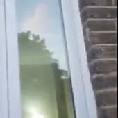 360x360