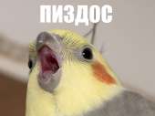 800x600