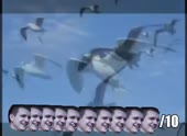 490x360