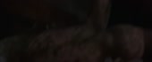1180x486