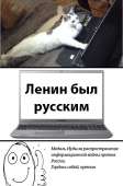 524x789