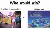 480x288