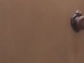 320x240