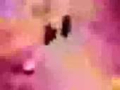 720x540